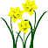 Daffodil Logo