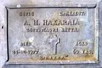 RSA plaque example 2